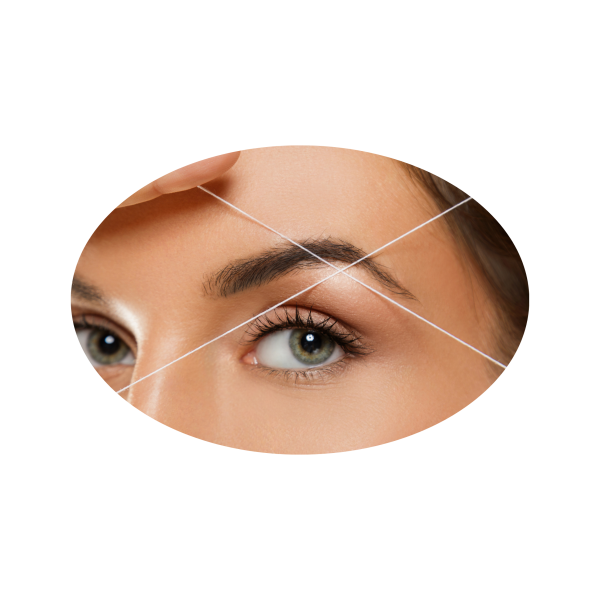 Untitled (1334 x 2001 px) (1401 x 901 px) (1)